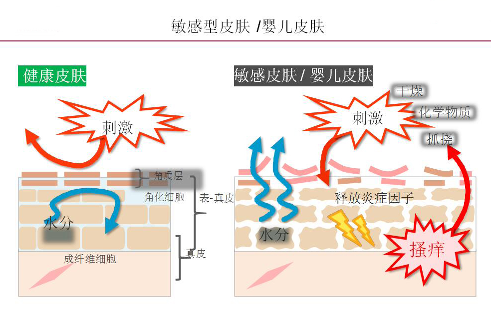 第三種：海藻糖.jpg